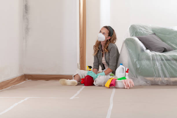 Reliable Mold Remediation contractor in Grimesland, NC by 24 Hour Mold Removal